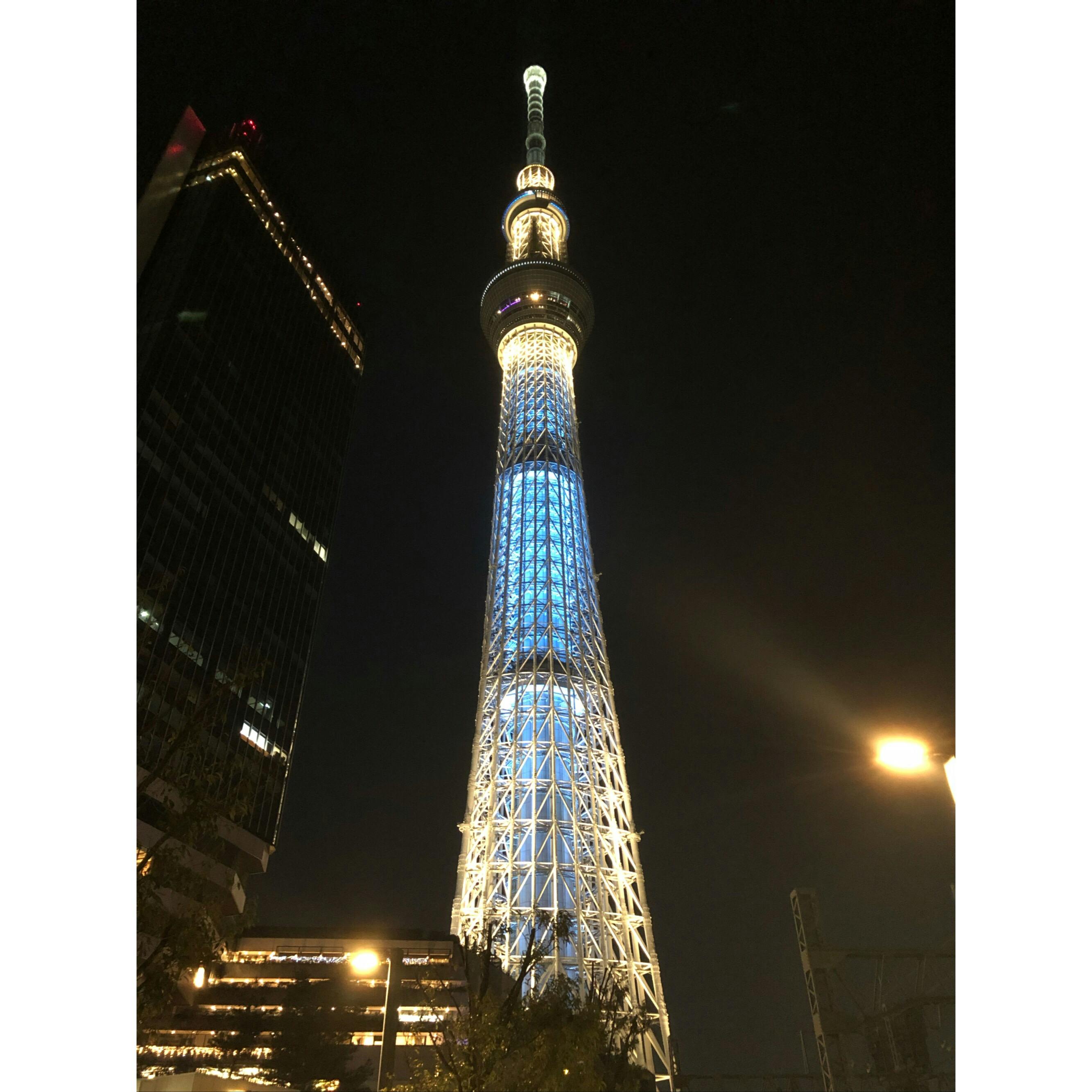 東京スカイツリーの投稿写真 感想 みどころ 平成最後の元旦の夜 夜のスカイツリーもいいでしょ トリップノート