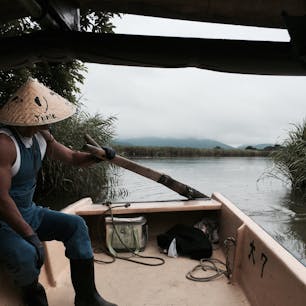 近江八幡の水郷めぐり
