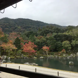 2018.11
天龍寺 庭園
紅葉は色付きはじめでした。