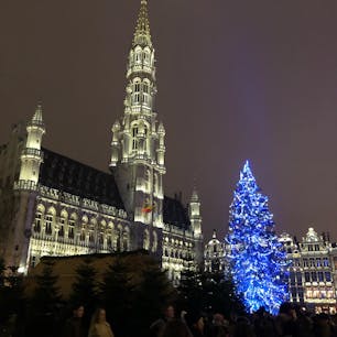 ブリュッセルのグランプラス
世界で最も美しい広場でのクリスマスマーケット