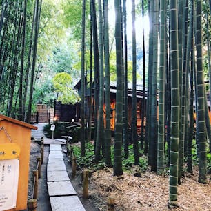 報国寺の中にある抹茶屋