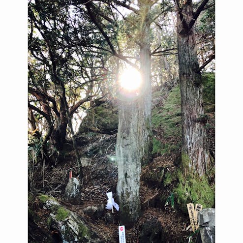 御岩神社の投稿写真 感想 みどころ 茨城県 御岩神社 光の柱 トリップノート 御岩神社の投稿写真 感想 みどころ 茨城県 御岩神社 光の柱 トリップノート