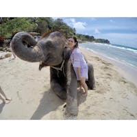 📍Phuket
Swimming with Elephants🐘🐘