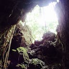 2018.12
パガットケーブの入り口から見上げた景色。真水の洞窟も素敵だったけど、その周りのジャングル感も凄かったです。