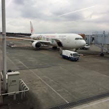 羽田空港 ミッキーマウスの飛行機