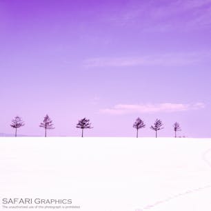 北海道大空町の「メルヘンの丘」。黒澤明監督映画のロケ地としても有名で、道東を代表するフォトスポットです。夏には花畑が広がり、その名の通りメルヘンな世界に。夕景の美しさも見事で、多くのカメラマンが足を運んでいます。