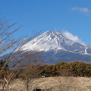 静岡  /  富士山