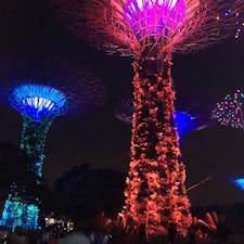 シンガポール🇸🇬の植物園
ガーデンズ・バイ・ザ・ベイの夜の部は、２０分程の音楽に合わせたショーが楽しめますよ。