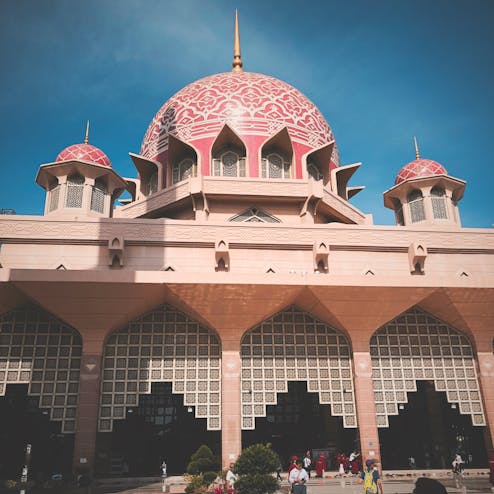 ピンクモスク
