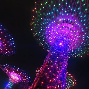 シンガポール、ガーデンバイザベイのナイトショー