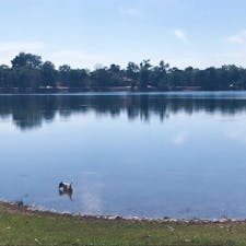 カンボジア🇰🇭

スラ・スラン
（アンコールワット遺跡近く）

わんちゃんが素敵に演出してくれてますが野良犬です。