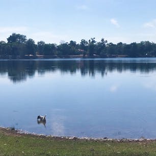 カンボジア🇰🇭

スラ・スラン
（アンコールワット遺跡近く）

わんちゃんが素敵に演出してくれてますが野良犬です。