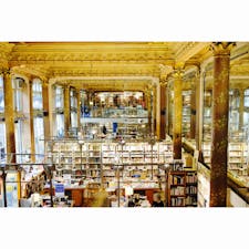 ベルギー🇧🇪 ブリュッセル  トロピズム

"世界で最も美しい本屋さん"に選ばれたこともある
元ダンスホールのこの本屋さん。

幼い頃読んだ、14ひきのシリーズが
仏語版で売られていて嬉しくなりました。