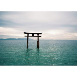 #滋賀県#白髭神社#琵琶湖