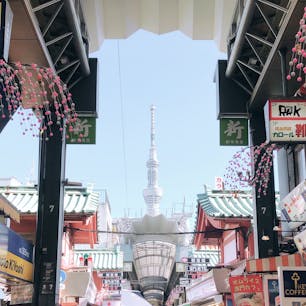 浅草で発見、隠れたスカイツリーフォトスポット📸
商店街に立ち並ぶ店々と和な雰囲気を出す朱色の建物が日本満載🇯🇵