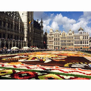 ベルギー🇧🇪 ブリュッセル  グランプラス

2年に一度、世界遺産のグランプラスで4日間だけ
開催される花の祭典フラワーカーペット。

77m×24mの広さに生花がびっしり敷き詰められていて
それはそれは美しかったです。

チケットを購入すると市庁舎のバルコニーから
全体を観ることができるのでオススメです◎


#次回は2020年8月