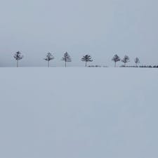 メルヘンの丘めまんべつ@北海道