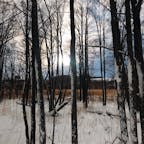 北海道(網走)
-３℃は寒いを通り越して痛いでした❄️