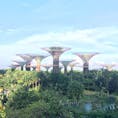 シンガポール ガーデンズ•バイ•ザ•ベイ
SF映画のような未来的な植物公園