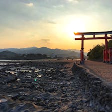 青島 ＠宮崎【2018/3】