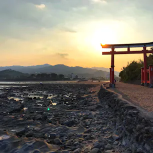 青島 ＠宮崎【2018/3】