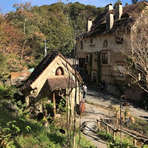 静岡県 浜松市 ぬくもりの森