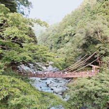 かずら橋🚩徳島県