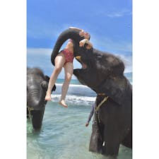 📍Phuket
Swimming with 🐘🐘