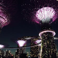 シンガポール
ガーデンズ.バイ.ザ.ベイ
幻想的でした。