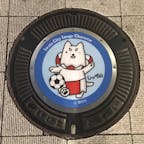 磐田のしっぺいちゃん( *¯ ³¯*)