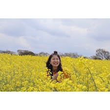 #大分 #長崎鼻リゾートキャンプ場 #菜の花