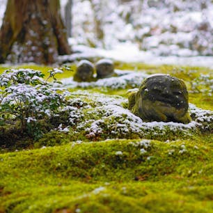 [2019/02]
京都府、三千院。
毎年恒例「初午大根焚き」が2月に行われ、巨大な大根が参拝者に無料でふるわれます(美味しかった^^)。
地蔵と苔が有名な当院ですが、私が参拝した時は雪が積もっており、なんとも幻想的な風景でした。
感動しました。

ところで寝そべっているように見えるこの地蔵、本当に可愛いですね。(地蔵に可愛いという表現を使用して良いのか分かりませんが...)