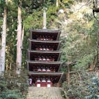 1月に行った奈良室生寺です。
5月のしゃくなげが有名ですが、今の時期静かでゆっくりと回る事ができました。