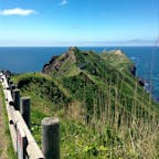 神威岬。この連なる稜線に沿って、大海原を望みながら歩くことが可能。