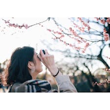 #福岡 #舞鶴公園