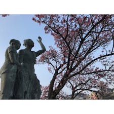 静岡県 熱海サンビーチ 桜🌸❄️