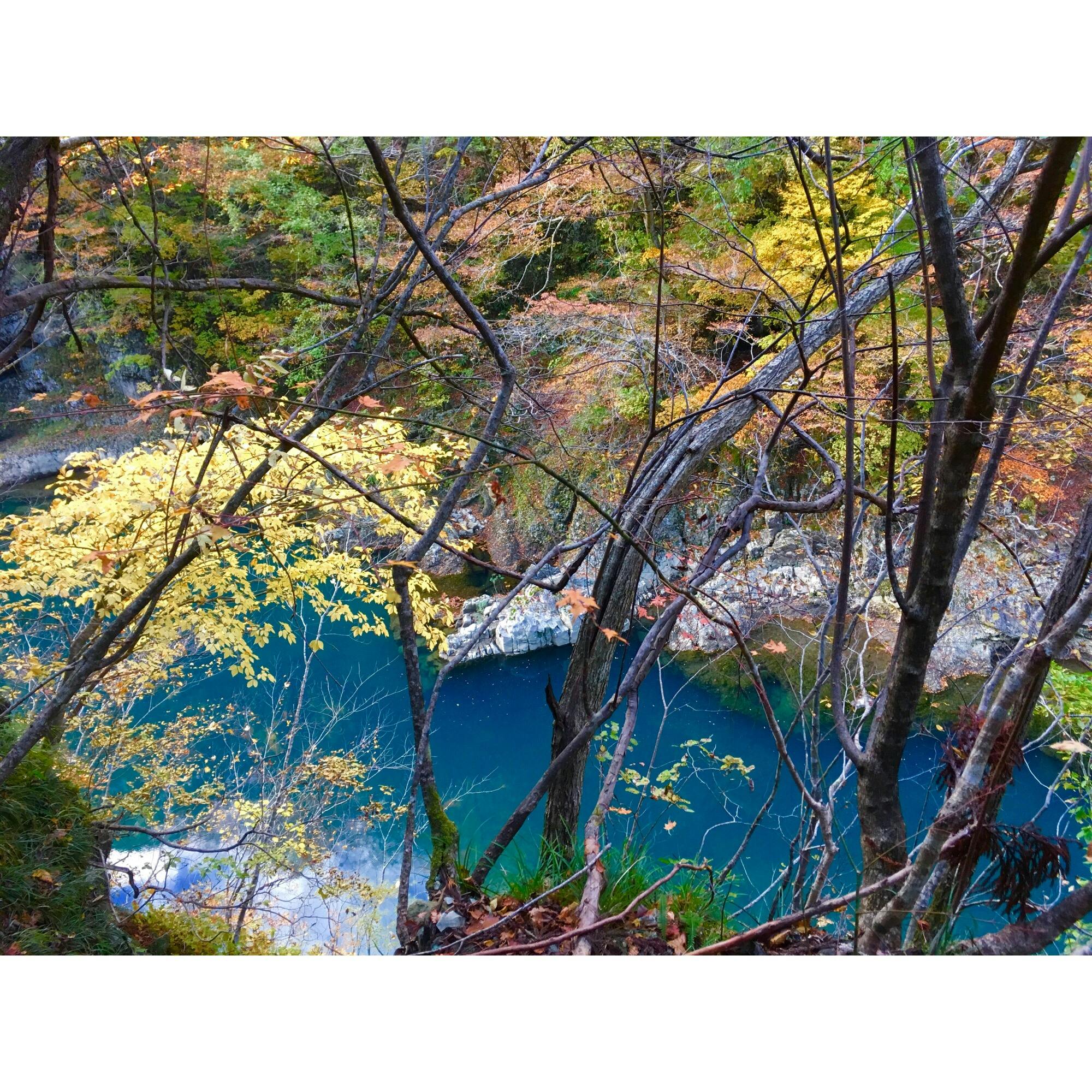 抱返り渓谷 だきがえりけいこく の投稿写真 感想 みどころ 秋田の抱返り渓谷紅葉の名所ですが 下の渓流が青く美しいです トリップノート 抱返り渓谷 だきがえりけいこく の投稿写真 感想 みどころ 秋田の抱返り渓谷紅葉の名所ですが 下の渓流が青く美しいです トリップノート