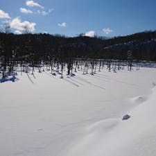 #冬の青い池
#美瑛
#北海道