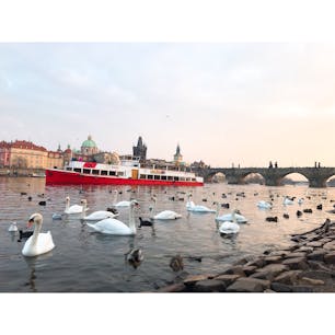 チェコのカレル橋