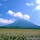 北海道後志(しりべし)地方にある羊蹄山(ようていざん)は、富士山によく似た美しい円錐形のため、蝦夷富士とも呼ばれています。倶知安町など、山の麓にはじゃがいも畑が広がっており、6月下旬ごろから一斉に花を咲かせます🌼