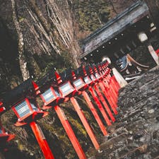 雨の中の貴船神社
到着した瞬間に雨がピタリと止み、そこには虹