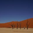 #ナミブ砂漠 #デッドフレイ

死の沼

木も生きれない過酷な場所

ただただ暑い