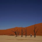 #ナミブ砂漠 #デッドフレイ

死の沼

木も生きれない過酷な場所

ただただ暑い