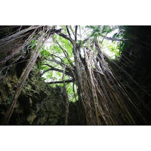 ガンガラーの谷