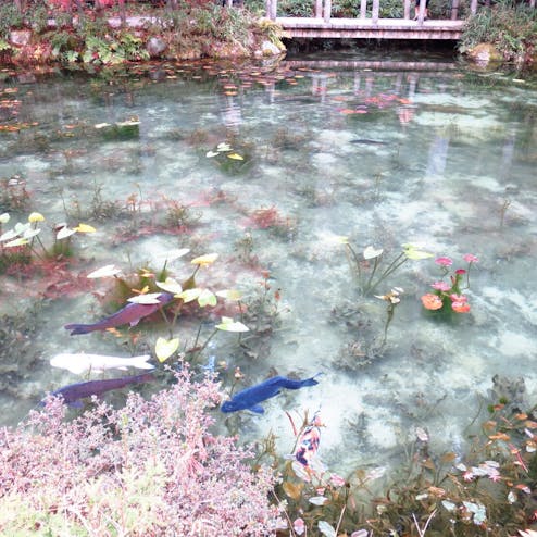 モネの池・根道神社