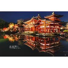 平等院夜間拝観、素敵でした。