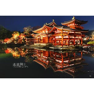 平等院夜間拝観、素敵でした。