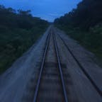 マレーシア🇲🇾鉄道
夕暮れのジャングル中を快走するマレー鉄道