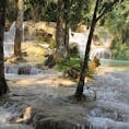 ラオス🇱🇦 ルアンパバーンの滝