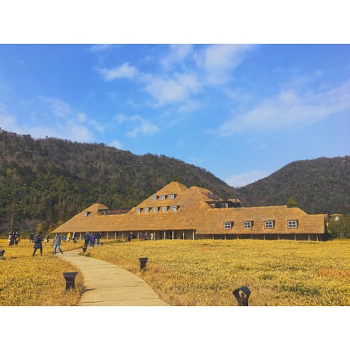 ラコリーナ近江八幡